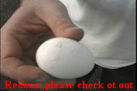 eggloft.jpg (4105 bytes) eggloft.jpg (4105 bytes)