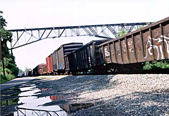 csx5.jpg (20359 bytes) csx5.jpg (20359 bytes)