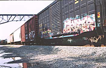 csx6.jpg (20332 bytes) csx6.jpg (20332 bytes)