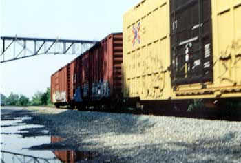 csx8.jpg (13800 bytes) csx8.jpg (13800 bytes)