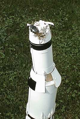 TOMB.jpg (20908 bytes) TOMB.jpg (20908 bytes)