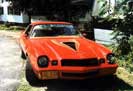 z28s.jpg (3621 bytes)